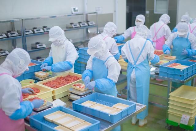 食品工場で単発バイトとして働く作業員たち。白衣と手袋を着用し、衛生管理されたラインで食品を加工している様子
