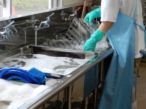 業務用シンクで食器を洗浄し、洗浄機に入れる前処理を行う飲食店の洗い場作業風景